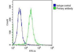 Overlay histogram showing K562 cells stained with Antibody (green line). (HBa2 antibody  (AA 100-128))