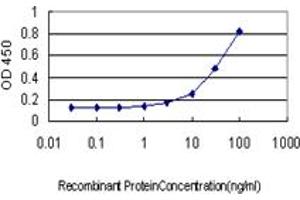 Detection limit for recombinant GST tagged MUTYH is approximately 1ng/ml as a capture antibody. (MUTYH antibody  (AA 436-535))