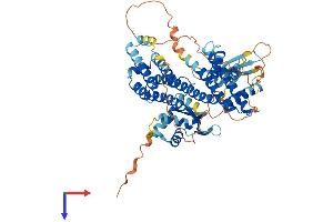 RFX Family Member 8, Lacking RFX DNA Binding Domain (RFX8) (AA 1-596) protein (His tag)