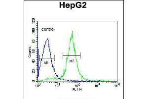 Flow cytometric analysis of HepG2 cells (right histogram) compared to a negative control cell (left histogram). (AIFM2 antibody  (C-Term))