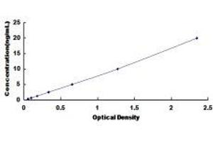 Typical Standard Curve (Permeability Glycoprotein ELISA Kit)