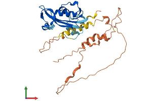 AlphaFold protein structure predicition of Mouse Recombinant Isg20 Protein, UniprotID Q9JL16 (ISG20 Protein (AA 1-300) (His tag))