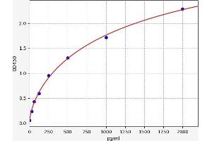 Ciliary Neurotrophic Factor (CNTF) ELISA Kit