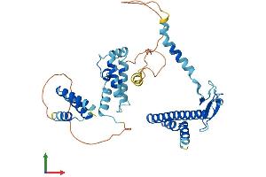 AlphaFold protein structure predicition of Mouse Recombinant Dnajb14 Protein, UniprotID Q149L6