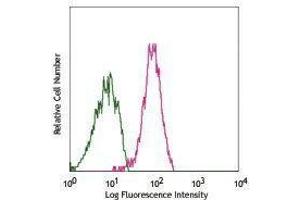 Flow Cytometry (FACS) image for anti-Cadherin 5 (CDH5) antibody (Biotin) (ABIN2660818) (Cadherin 5 antibody  (Biotin))