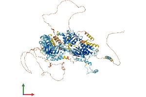 Protein Structure (PS) image for Patatin-Like phospholipase Domain Containing 6 (PNPLA6) (AA 1-1355) protein (His tag) (ABIN7563676)