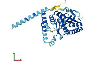 AlphaFold protein structure predicition of Mouse Recombinant Alg5 Protein, UniprotID Q9DB25 (ALG5 Protein (AA 1-324) (His tag))
