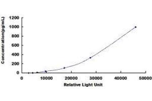 ELISA image for Growth Differentiation Factor 11 (GDF11) CLIA Kit (ABIN1081479)