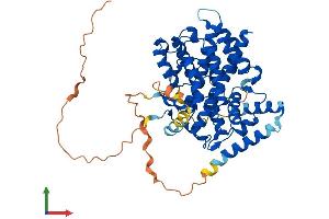 Protein Structure (PS) image for Sestrin 2 (SESN2) (AA 1-480) protein (His tag) (ABIN7563463)