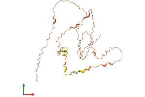 AlphaFold protein structure predicition of Human Recombinant KIRREL3-AS3 Protein, UniprotID Q8N7Y1 (KIRREL3-AS3 Protein (AA 1-241) (His tag))