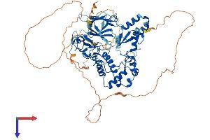 CHFR Protein (AA 1-664) (His tag)