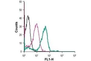 Cell surface detection of ADORA2b in live intact human THP-1 monocytic leukemia cells: (black line) Cells. (Adenosine A2b Receptor antibody  (2nd Extracellular Loop) (FITC))