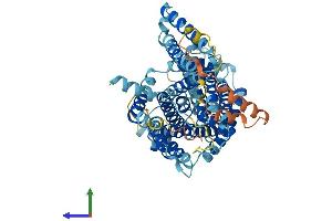 AlphaFold protein structure predicition of Human Recombinant SLC7A1 Protein, UniprotID P30825
