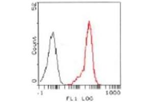 Image no. 1 for anti-Formyl Peptide Receptor 2 (FPR2) antibody (ABIN329919) (FPR2 antibody)
