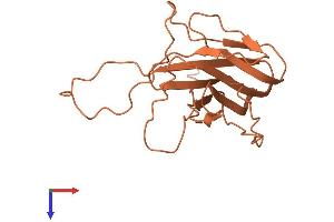 AlphaFold protein structure predicition of Human Recombinant C7orf33 Protein, UniprotID Q8WU49 (C7ORF33 Protein (AA 1-177) (His tag))