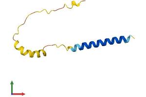AlphaFold protein structure predicition of Human Recombinant C14orf132 Protein, UniprotID Q9NPU4