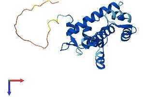 SRI Protein (AA 1-198) (His tag)