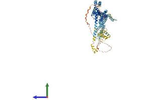 AlphaFold protein structure predicition of Human Recombinant DCST2 Protein, UniprotID Q5T1A1 (DCST2 Protein (AA 1-773) (His tag))