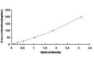 Anti-Albumin Antibody (AAA) ELISA Kit