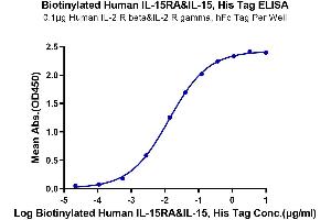 ELISA image for IL-15/IL-15R (AA 31-108) protein (His tag,Biotin) (ABIN7274890)