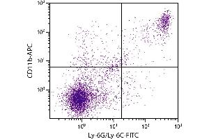 BALB/c mouse splenocytes were stained with Rat Anti-Mouse CD11b-APC. (CD11b antibody  (APC))