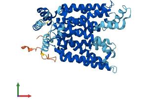 Protein Structure (PS) image for Solute Carrier Family 2 (Facilitated Glucose Transporter), Member 3 (SLC2A3) (AA 1-493) protein (His tag) (ABIN7563125)