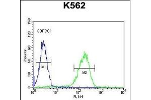 OL6 Antibody (Center) 10113c flow cytometric analysis of K562 cells (right histogram) compared to a negative control cell (left histogram).