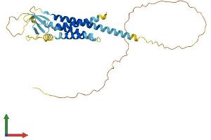 AlphaFold protein structure predicition of Mouse Recombinant Cacng3 Protein, UniprotID Q9JJV5