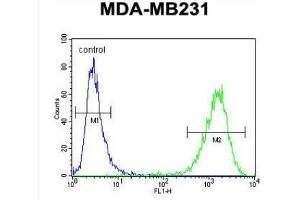 Flow Cytometric analysis of MDA-MB231 cells using CF150 Antibody (Center) Cat. (C6orf150 antibody  (Middle Region))