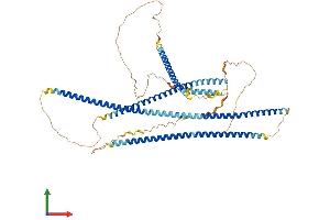 AlphaFold protein structure predicition of Human Recombinant TNIP1 Protein, UniprotID Q15025 (TNIP1 Protein (AA 1-636) (His tag))