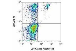 Flow Cytometry (FACS) image for anti-Chemokine (C-C Motif) Receptor 6 (CCR6) antibody (PE) (ABIN2662507) (CCR6 antibody  (PE))