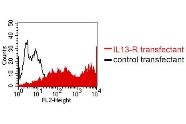 IL13 Receptor alpha 1 antibody  (Extracellular Domain)