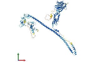 Protein Structure (PS) image for Midline 1 (MID1) (AA 1-680) protein (His tag) (ABIN7562580)