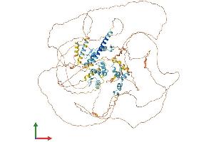 AlphaFold protein structure predicition of Human Recombinant SALL4 Protein, UniprotID Q9UJQ4 (SALL4 Protein (AA 1-1053) (His tag))