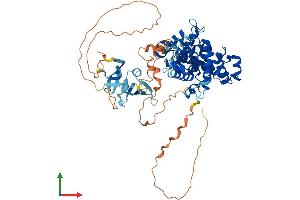 Protein Structure (PS) image for TBC1 Domain Family, Member 17 (TBC1D17) (AA 1-645) protein (His tag) (ABIN7564463)