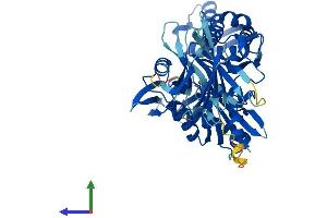AlphaFold protein structure predicition of Mouse Recombinant Hspa14 Protein, UniprotID Q99M31