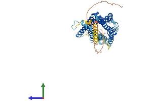 Protein Structure (PS) image for Tachykinin Receptor 1 (TACR1) (AA 1-407) protein (His tag) (ABIN7563089)