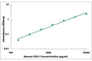 CHL1 ELISA Kit