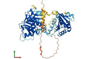 Protein Structure (PS) image for DEAD (Asp-Glu-Ala-As) Box Polypeptide 19B (DDX19B) (AA 1-479) protein (His tag) (ABIN7546995)