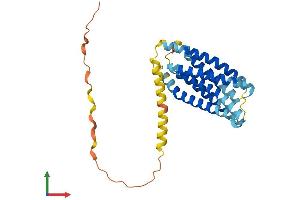 Protein Structure (PS) image for Transmembrane Protein 163 (TMEM163) (AA 1-289) protein (His tag) (ABIN7544450)