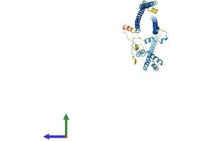 AlphaFold protein structure predicition of Human Recombinant CCDC112 Protein, UniprotID Q8NEF3 (CCDC112 Protein (AA 1-446) (His tag))