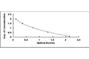 Typical standard curve (KNG1 ELISA Kit)