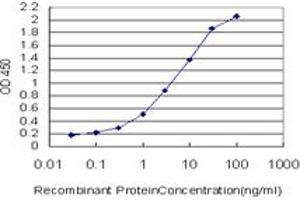 Detection limit for recombinant GST tagged MAPK1 is approximately 0. (ERK2 antibody  (AA 261-360))