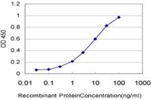 Detection limit for recombinant GST tagged PADI2 is approximately 0. (PADI2 antibody  (AA 1-108))