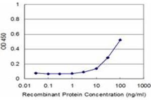 Detection limit for recombinant GST tagged PLA2G4B is approximately 3ng/ml as a capture antibody. (JMJD7-PLA2G4B antibody  (AA 1-316))