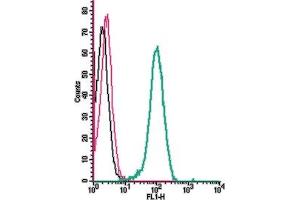 Cell surface detection of Glucagon-like peptide 2 receptor by indirect flow cytometry in live intact human  monocytic leukemia cells:  + goat-anti-rabbit-FITC.