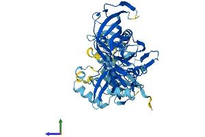 AlphaFold protein structure predicition of Mouse Recombinant Eef1a2 Protein, UniprotID P62631 (EEF1A2 Protein (AA 1-463) (His tag))