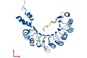 AlphaFold protein structure predicition of Mouse Recombinant Fbxl12 Protein, UniprotID Q9EPX5 (FBXL12 Protein (AA 1-326) (His tag))