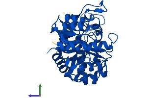 Protein Structure (PS) image for TatD DNase Domain Containing 1 (TATDN1) (AA 1-295) protein (His tag) (ABIN7558013)