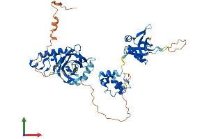 Protein Structure (PS) image for Transcription Factor CP2-Like 1 (TFCP2L1) (AA 1-479) protein (His tag) (ABIN7544430)